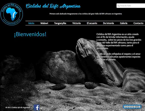 Ciclidos Argentina